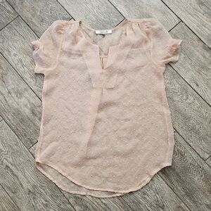 Daniel Rainn Light Pink Sheer Clip Dot Short Sleeve Blouse Size S